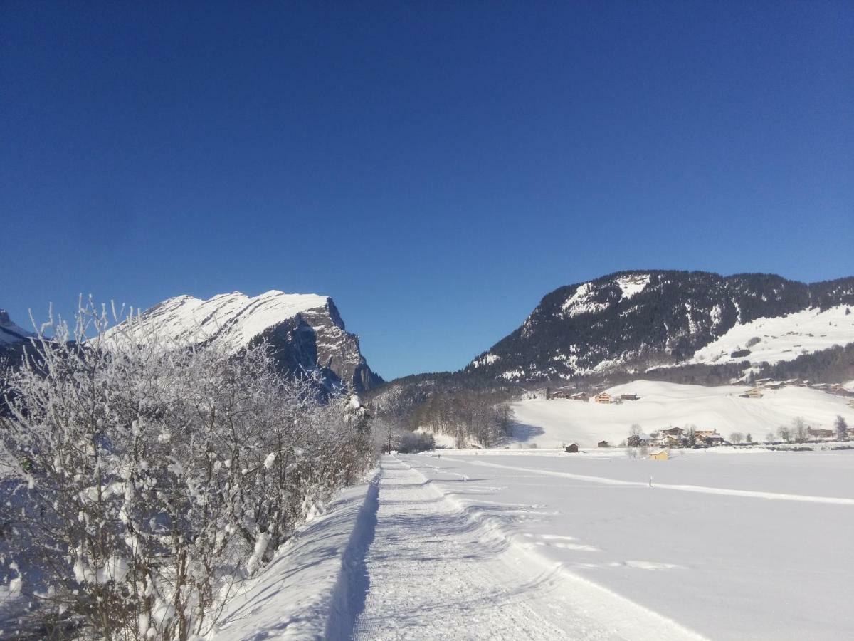 Gaestehaus Pfandl Au (Vorarlberg) Kültér fotó